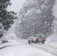 Всички пътища на територията на област Разград са проходими при зимни условия
