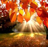 Слънцето отново се показва! Топлото време се завръща