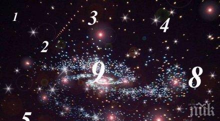 виж каква 2016 година личното число