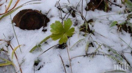 времето варна облачно валежи