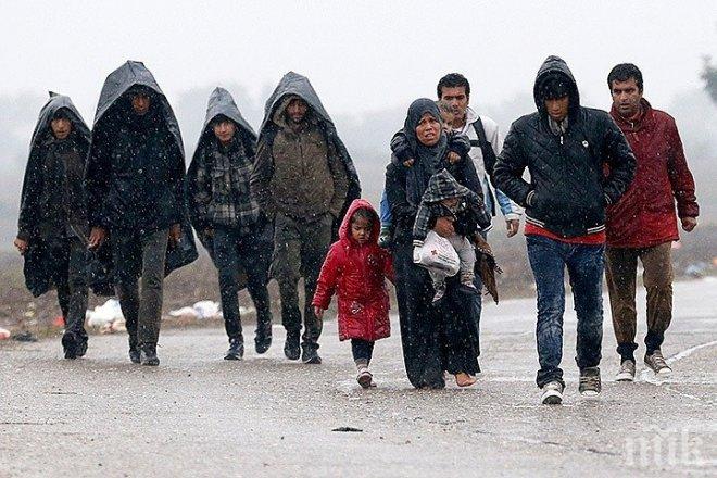 Тази снимка взриви интернет! Вижте с какво сравниха Европа