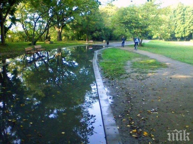 Дъждът в Пловдив обърна на сняг