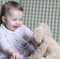 Кръстиха червило на принцеса Шарлот