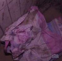 Потресаващо! Метнаха новородено от 5-ия етаж в шахта за боклук (видео)