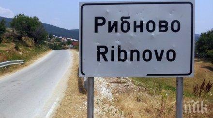 150 бели бора били отсечени незаконно рибново