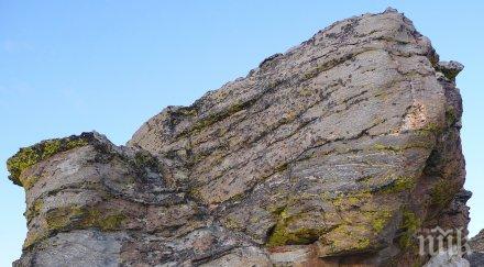 изкривена любов американец снима съпругата после бутна скала