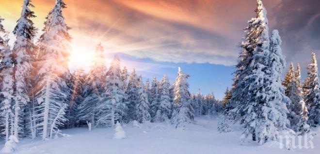 Синоптиците оптимисти за новата седмица! Чака ни топло време, живакът скача до 11 градуса