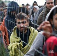 76 263 мигранти са влезли в Гърция и Италия тази година