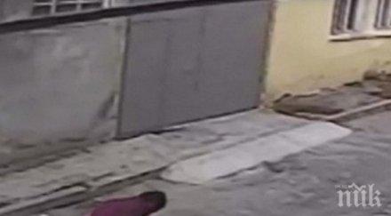 варненец лежи затвора заради жестоко убийство котка