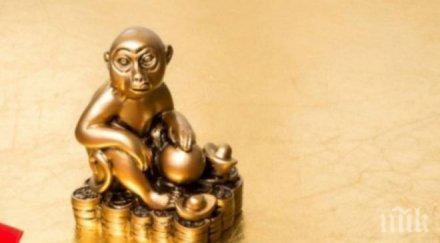 жените печелят годината маймуната