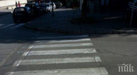 кола отнесе пешеходка зебра