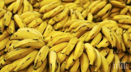 банани помагат създаването скенер рак кожата