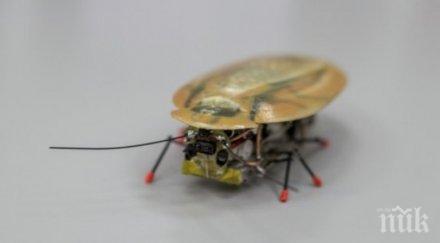 учени създадоха малък робот вдъхновени хлебарките