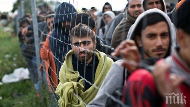 Влиза в сила нов режим за транспорт и настаняване на мигранти на Балканите