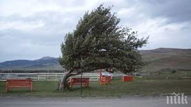 Човек е пострада заради силните ветрове във Франция