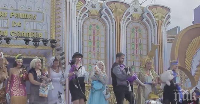 Кучетата дефилираха на карнавала в Гран Канария (видео)