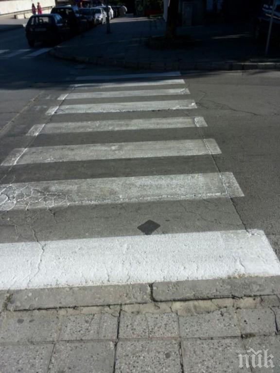 Кола отнесе пешеходка на зебра