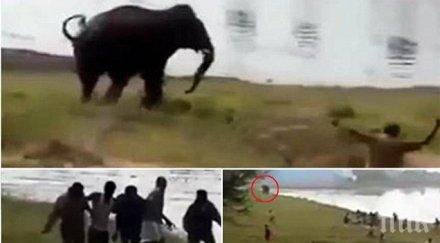 разярен слон разруши 100 къщи индия