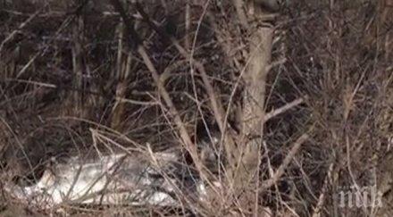 пик изяснява случая загиналия младеж тежката катастрофа разград