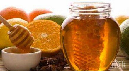 плевен събира пчеларската общност международно изложение