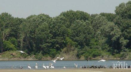 приет планът управление природния парк персина