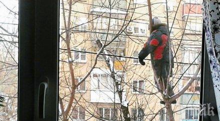 доказателства децата всъщност забавно приятно