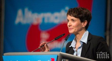 алтернатива германия състояние мобилизира една трета свободния електорат страната