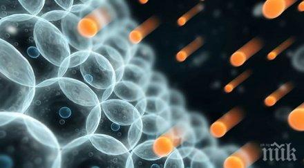 учени въздишката ключов поддържащ живота рефлекс