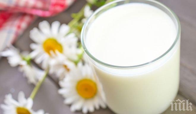 Едноседмична диета с кисело мляко вае фигурата!