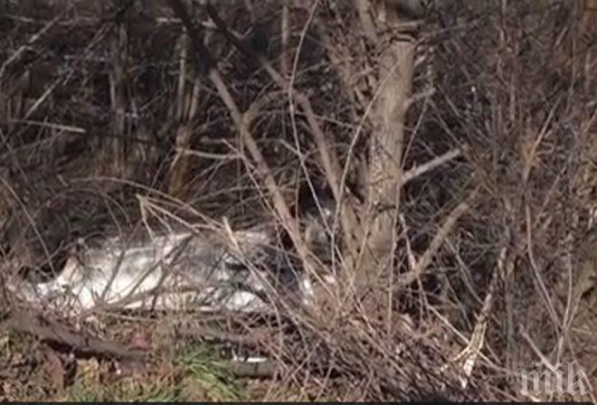 ПИК TV: Изяснява се случая със загиналия младеж при тежката катастрофа в Разград