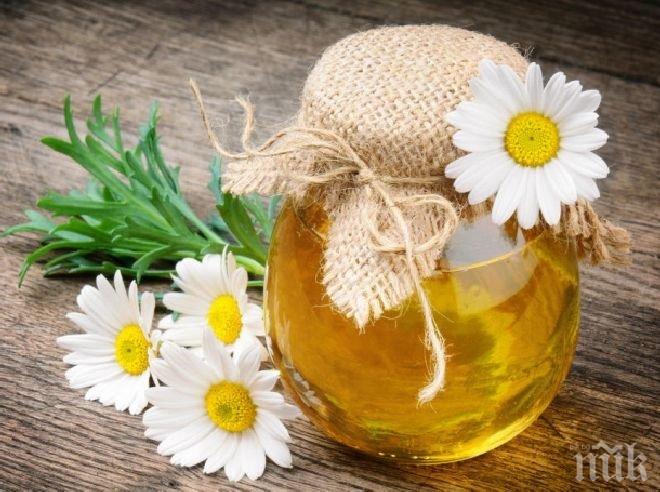 В Пазарджик отчитат добра година на произведеното количество мед