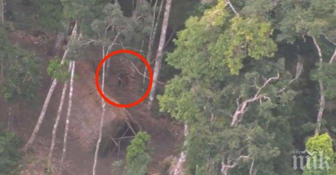 Екип от хора засне тези невероятни кадри. Изображения, които никога преди не са били виждани..