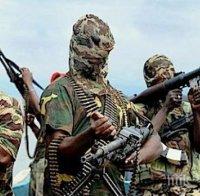 Армията на Камерун е ликвидирала най-малко 27 екстремисти от Боко Харам
