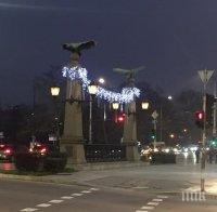 Зелени протестираха, полицаи и журналисти бяха повече (снимка)