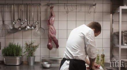 швейцарски ресторант предлага котешка плешка видео