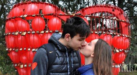 димитровград посрещнаха валентин празник целувката