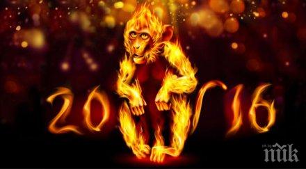 огнената маймуна отваря кутията пандора вижте чака 2016 2017 източния хороскоп