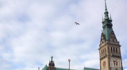 хамбург домакин форума 2017