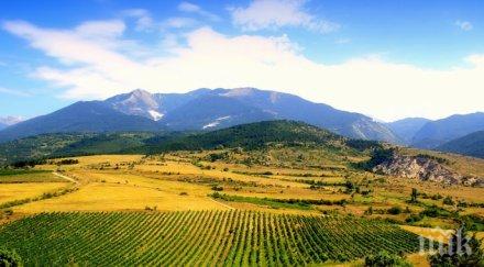 руснаци англичани заселиха илинденци заради виното