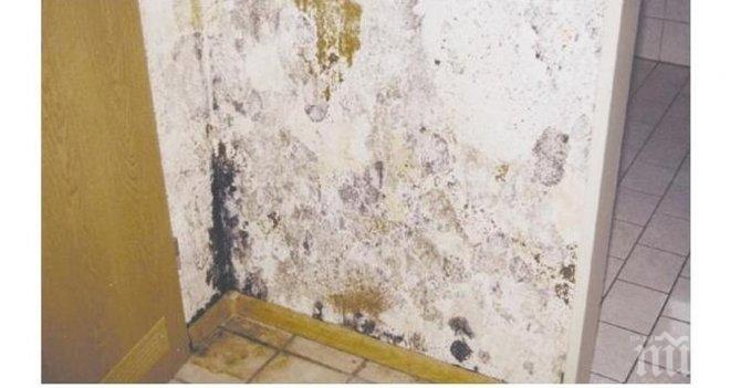 Отърви се от мухълът във фугите на плочките моментално, само с 2 натурални съставки! Всички ги имаме вкъщи!