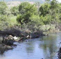 Чистят речните корита и дерета в Карлово