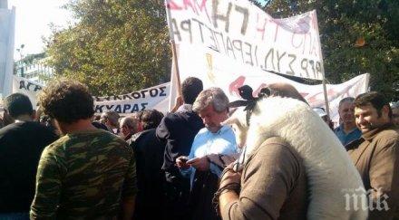 хиляди подкрепиха атина протеста гръцките фермери