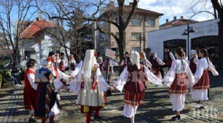 избраха цар лозята враца