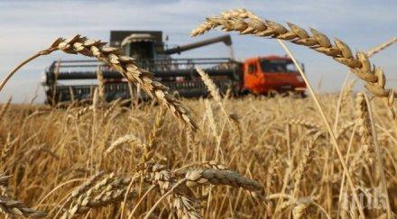 специалист зърнопроизводителите българия научиха експериментират