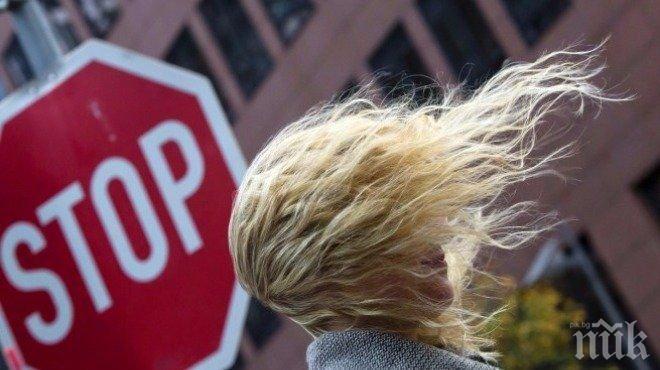Жълт код за силни ветрове е обявен за цяла България утре (КАРТА)