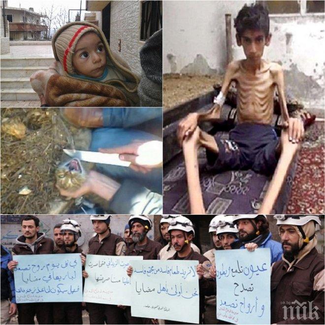 Извънредно! Близо 14 млн. сирийци умират от глад! Продължителността на живота падна с близо 20 г. 