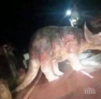 Динозавър се появи на шосе в Южна Англия (видео)