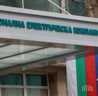 170 млн. пести НЕК от 