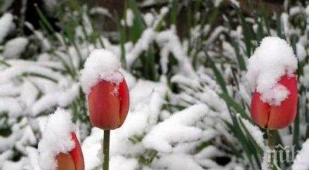 синоптиците бан лоша прогноза студът връща изведнъж температурите падат рязко повече градуса