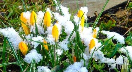 времето пак върти номера подранилата пролет температурите падат градуса